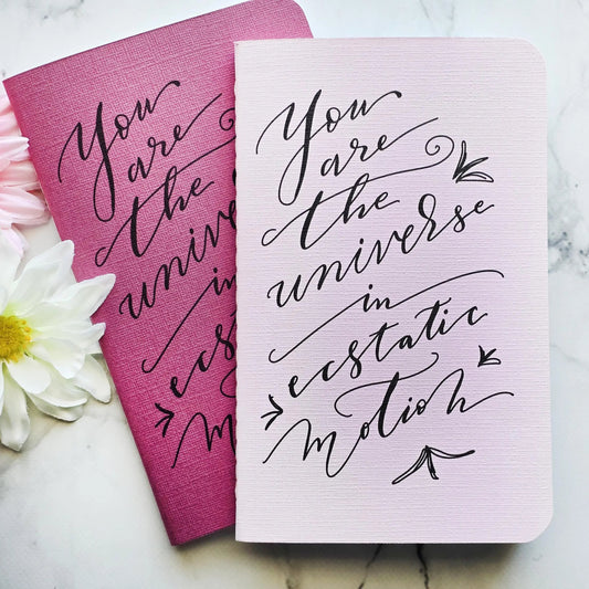 You Are The Universe in Ecstatic Motion