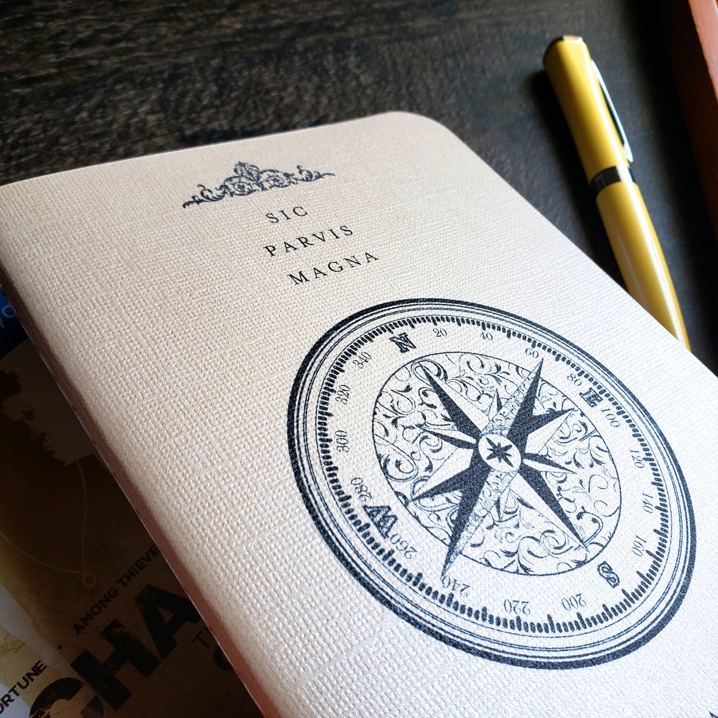 Sic Parvis Magna
